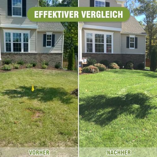 Rasen Rakel Edelstahl 72x25 cm – Verstellbarer Stiel für perfekte Rasenpflege im Garten und Golfplatz