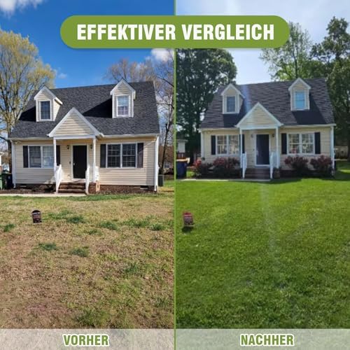 Rasen Rakel Edelstahl 72x25 cm – Verstellbarer Stiel für perfekte Rasenpflege im Garten und Golfplatz