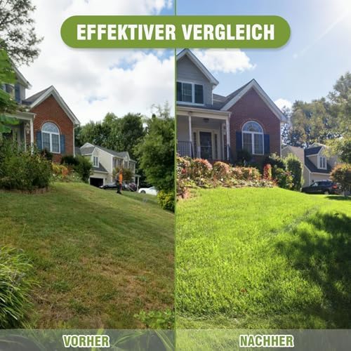 Rasen Rakel Edelstahl 72x25 cm – Verstellbarer Stiel für perfekte Rasenpflege im Garten und Golfplatz